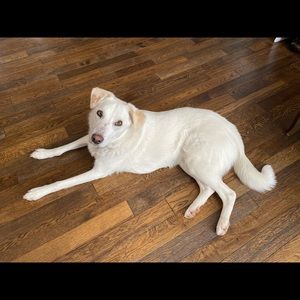 Meet your Posher, Robert